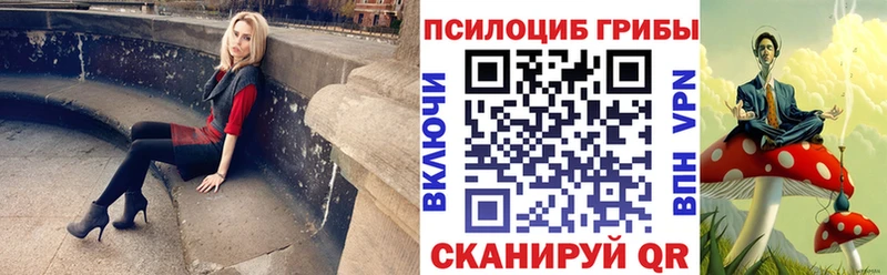 mega ТОР  Партизанск  Псилоцибиновые грибы мицелий  дарк нет наркотические препараты  наркотики 